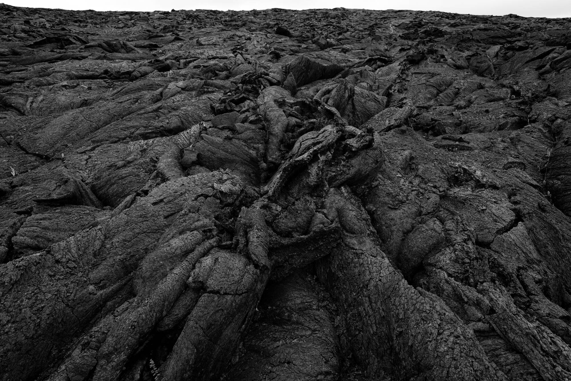 Lava field